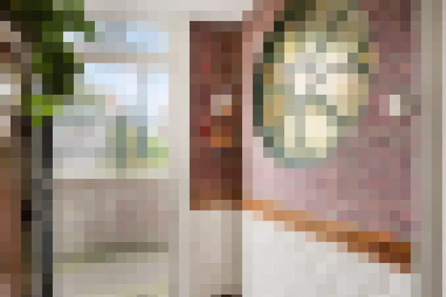 Vlaardingsekade 25 Schipluiden thumbnail 11