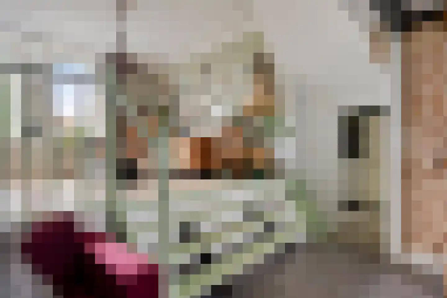 Vlaardingsekade 25 Schipluiden thumbnail 15