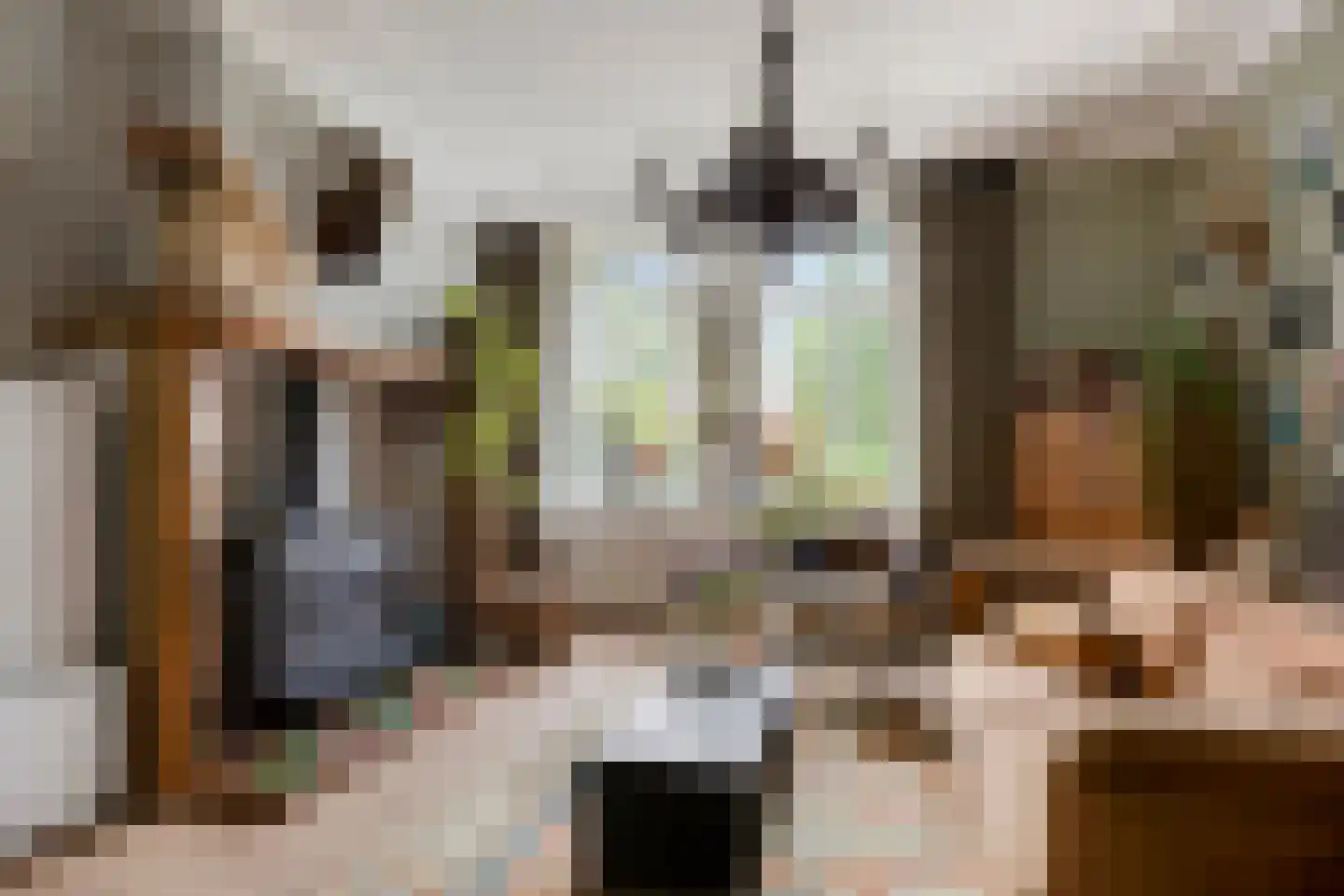 Vlaardingsekade 25 Schipluiden thumbnail 16