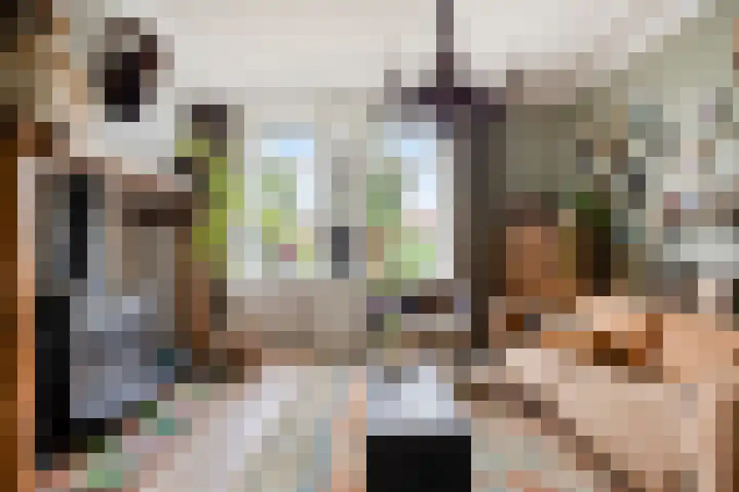 Vlaardingsekade 25 Schipluiden thumbnail 17