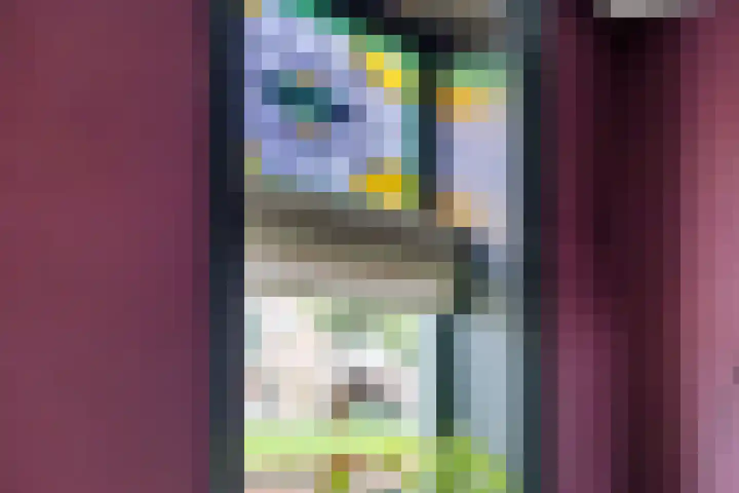 Vlaardingsekade 25 Schipluiden thumbnail 19