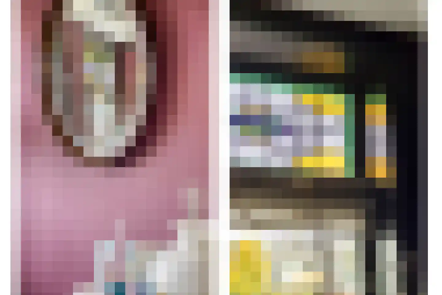 Vlaardingsekade 25 Schipluiden thumbnail 20