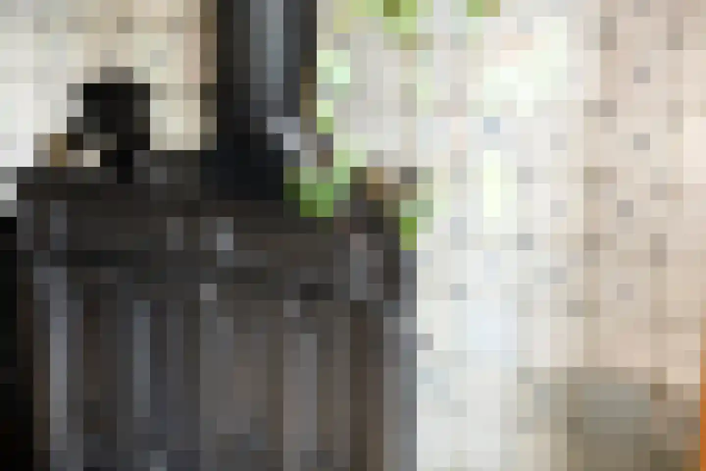 Vlaardingsekade 25 Schipluiden thumbnail 23