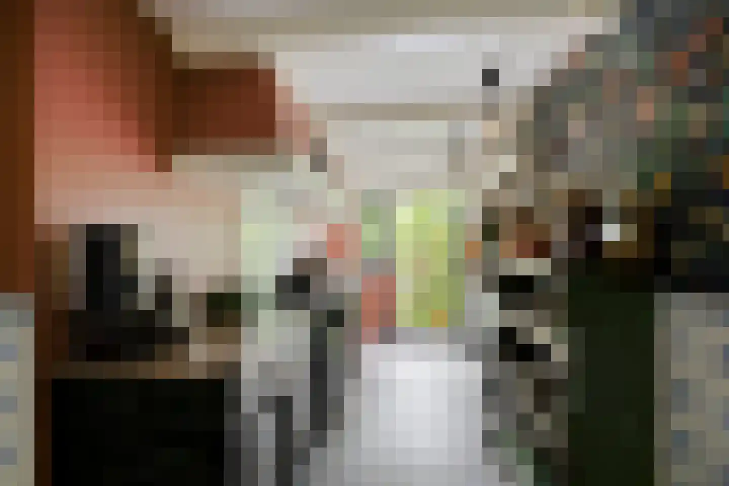 Vlaardingsekade 25 Schipluiden thumbnail 24