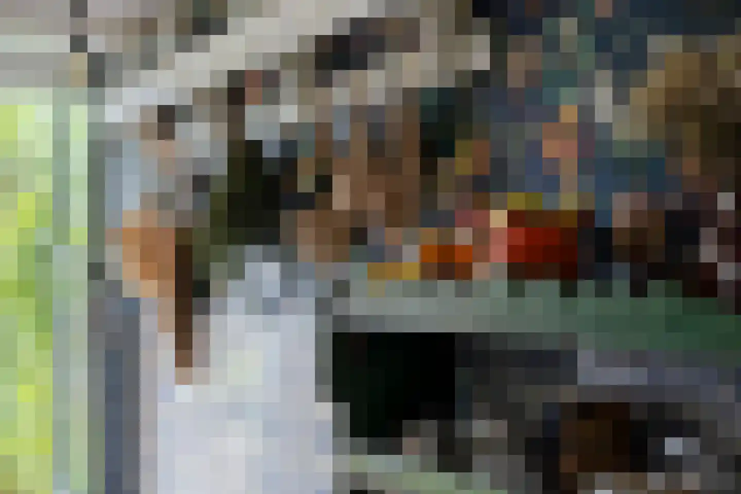 Vlaardingsekade 25 Schipluiden thumbnail 27