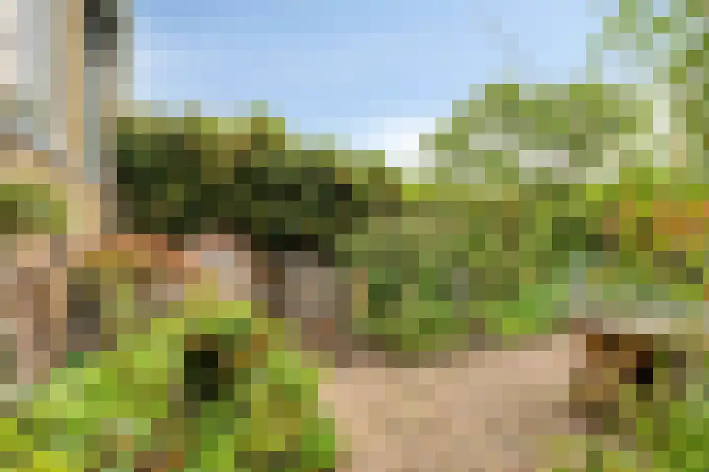Vlaardingsekade 25 Schipluiden thumbnail 29