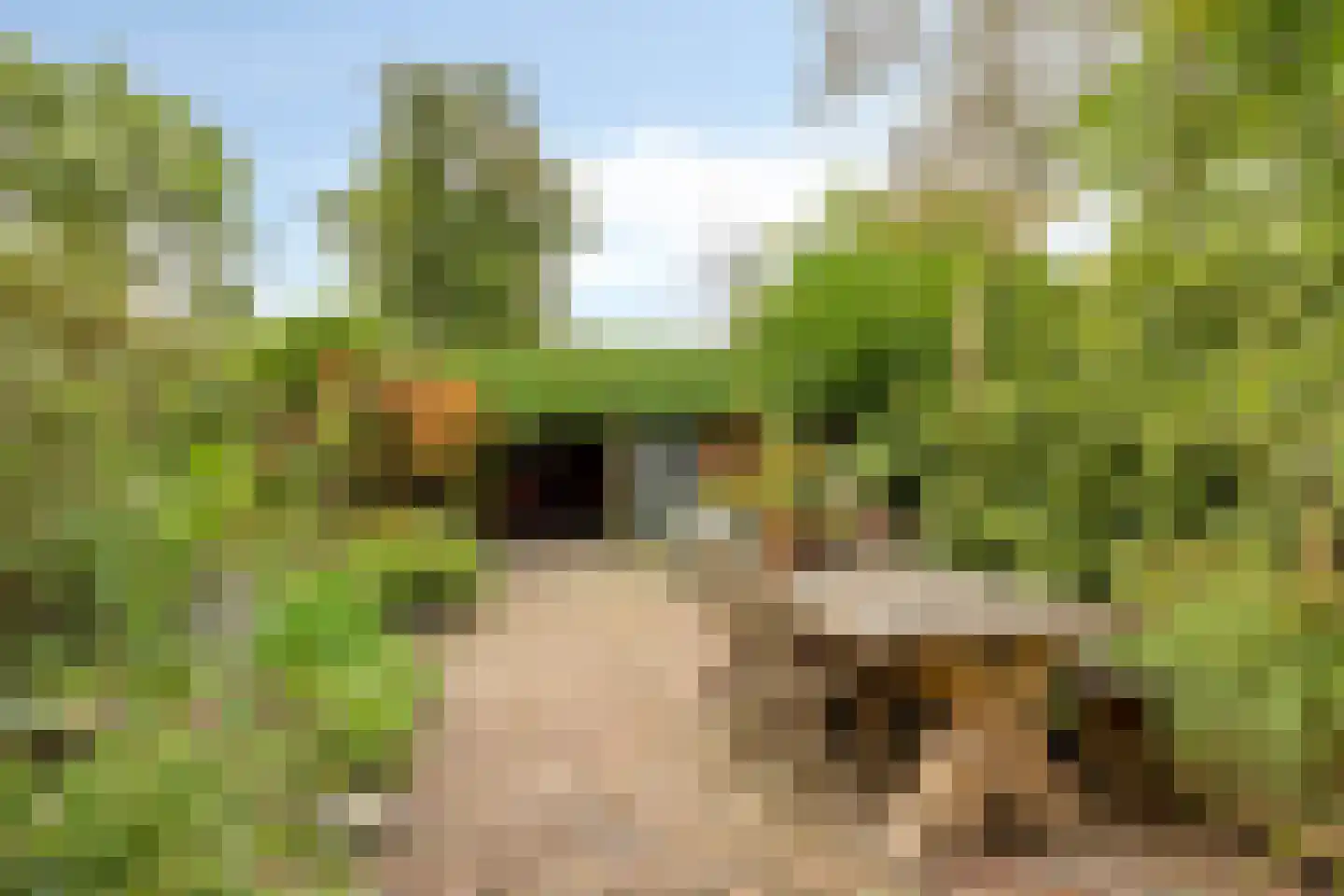 Vlaardingsekade 25 Schipluiden thumbnail 30