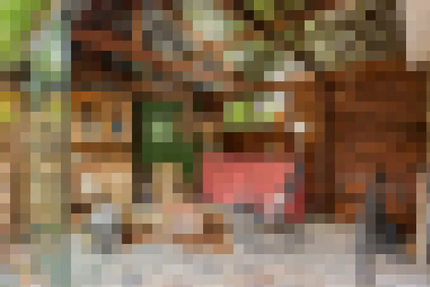 Vlaardingsekade 25 Schipluiden thumbnail 31