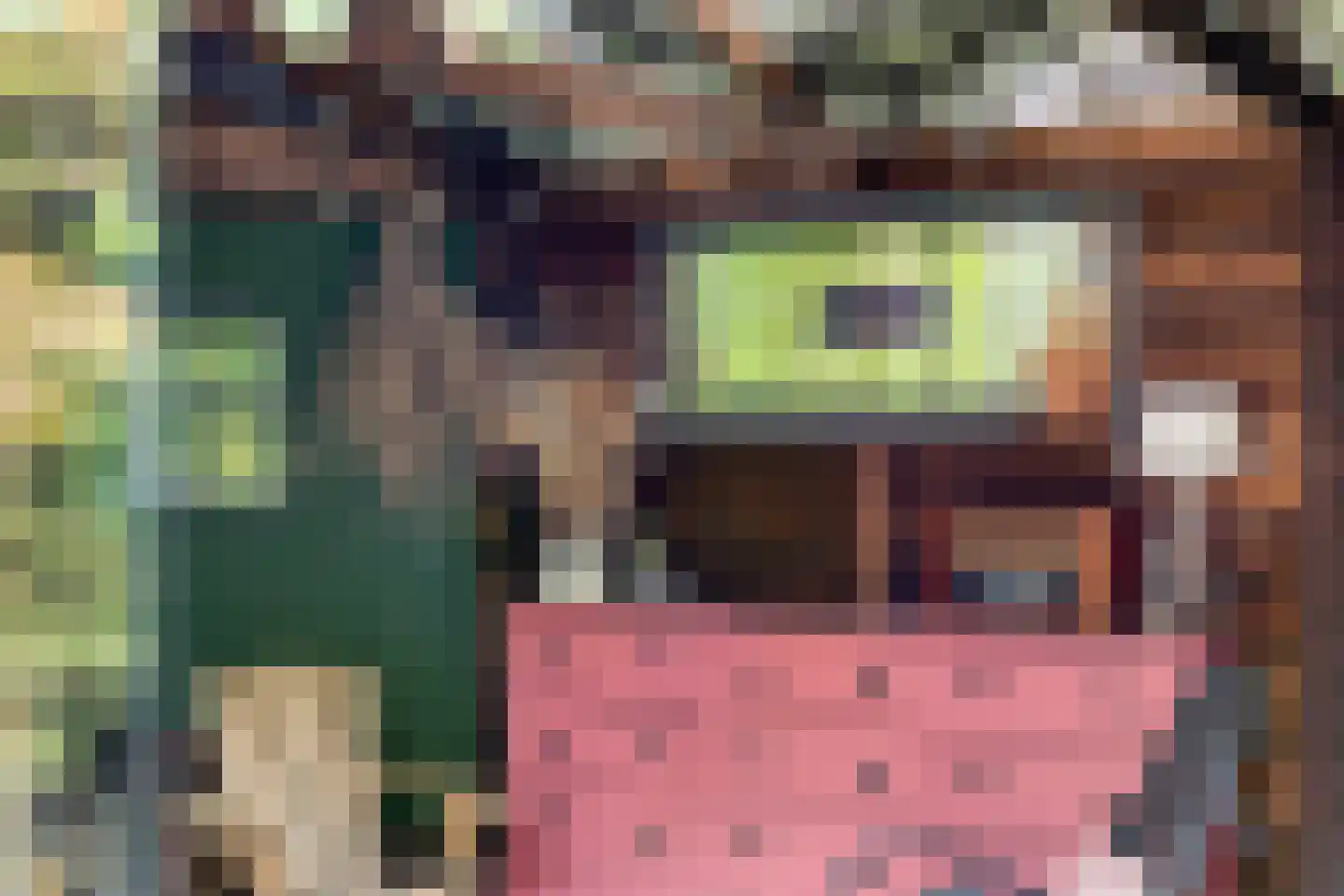 Vlaardingsekade 25 Schipluiden thumbnail 33