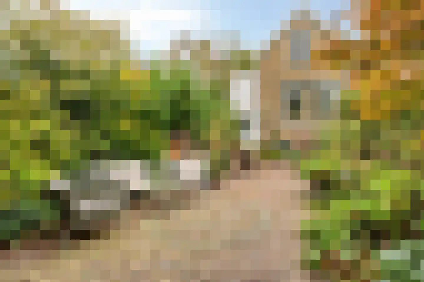 Vlaardingsekade 25 Schipluiden thumbnail 34