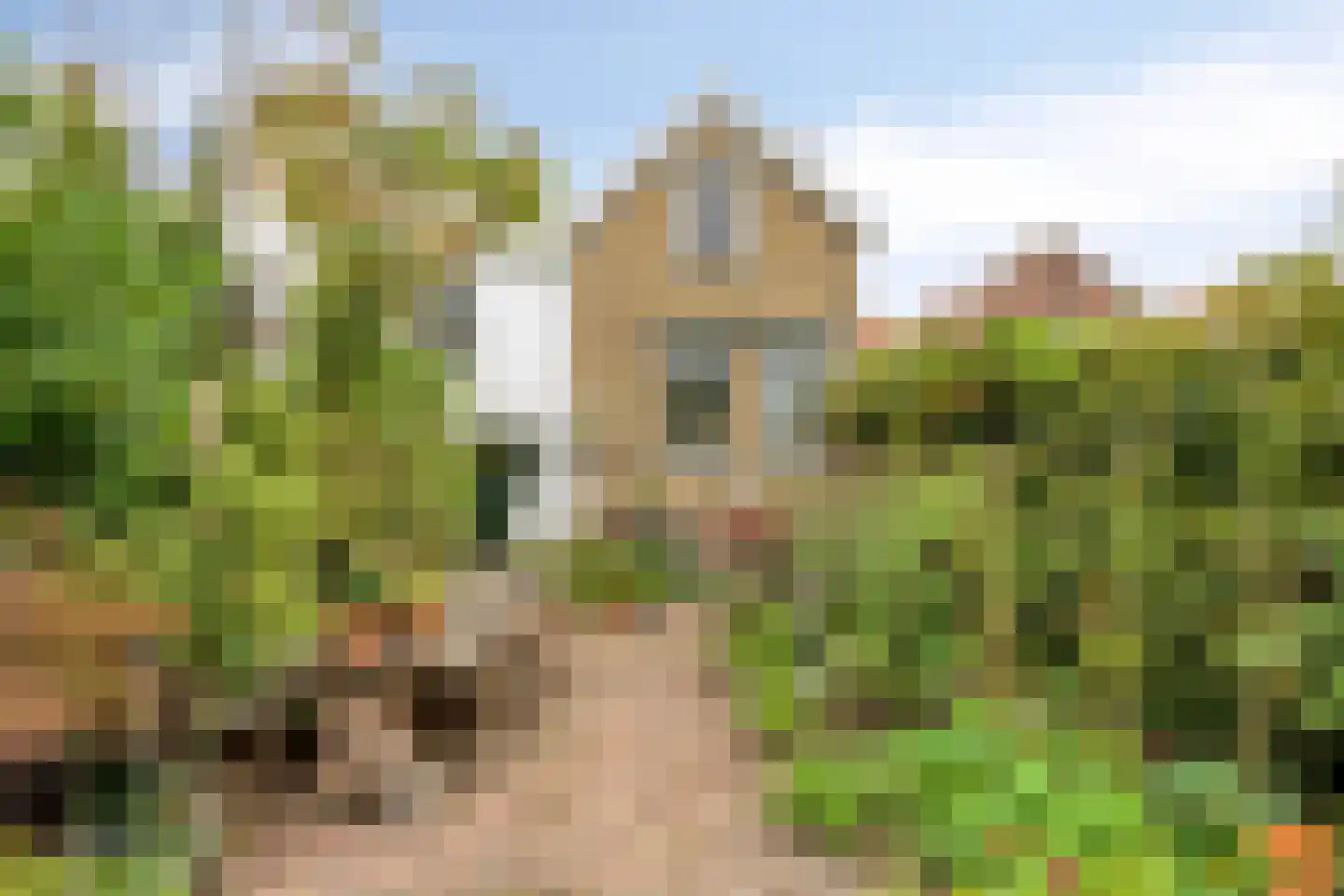 Vlaardingsekade 25 Schipluiden thumbnail 35