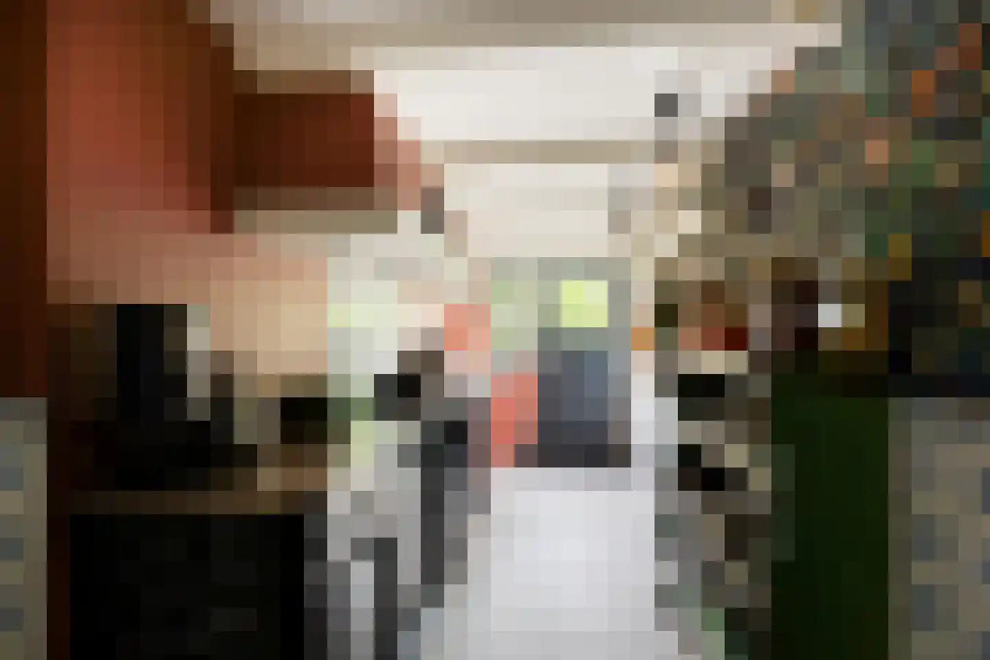 Vlaardingsekade 25 Schipluiden thumbnail 4