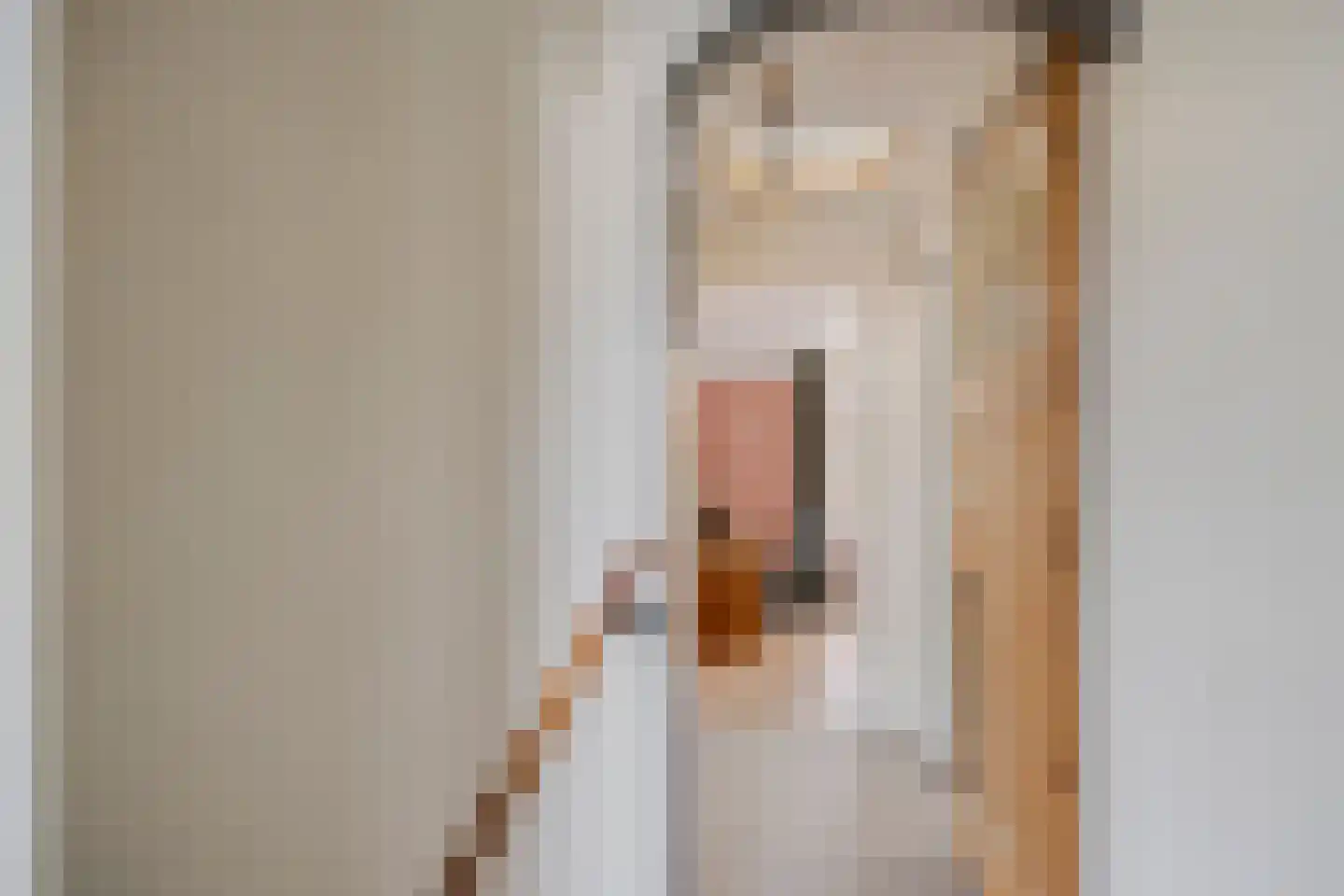 Vlaardingsekade 25 Schipluiden thumbnail 46
