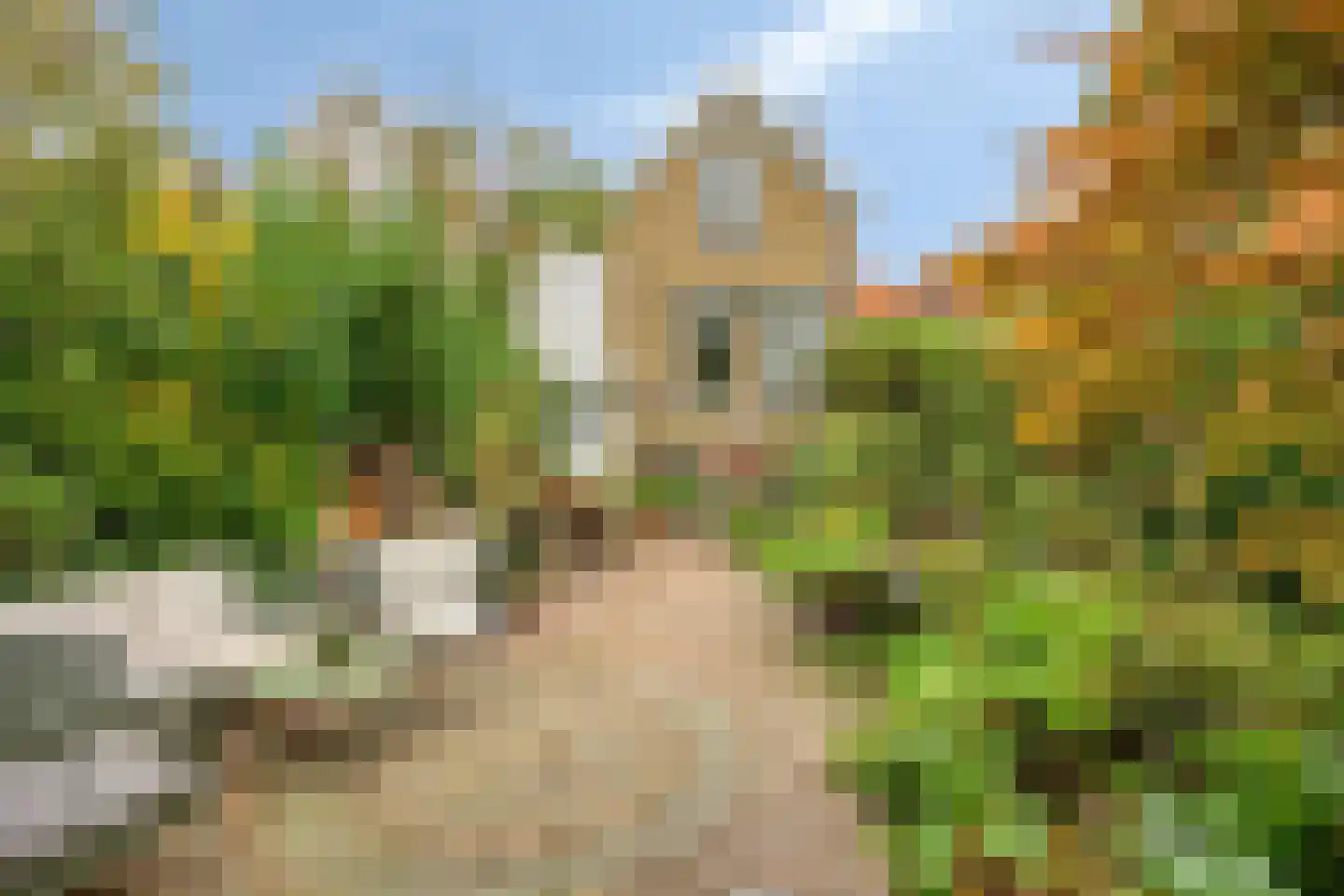 Vlaardingsekade 25 Schipluiden thumbnail 5