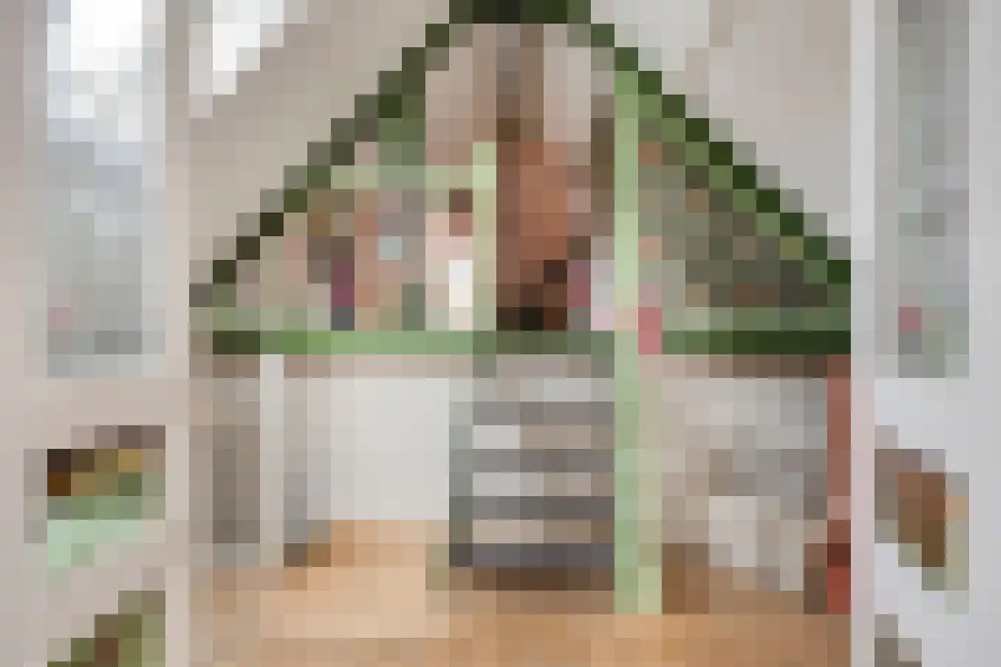 Vlaardingsekade 25 Schipluiden thumbnail 54