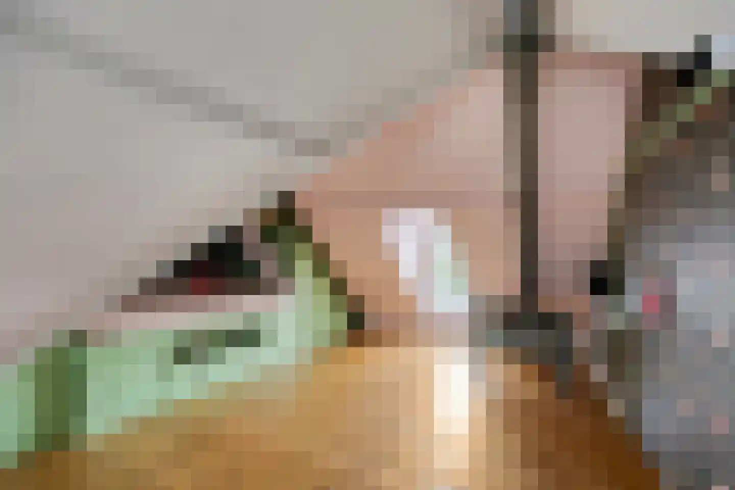 Vlaardingsekade 25 Schipluiden thumbnail 58