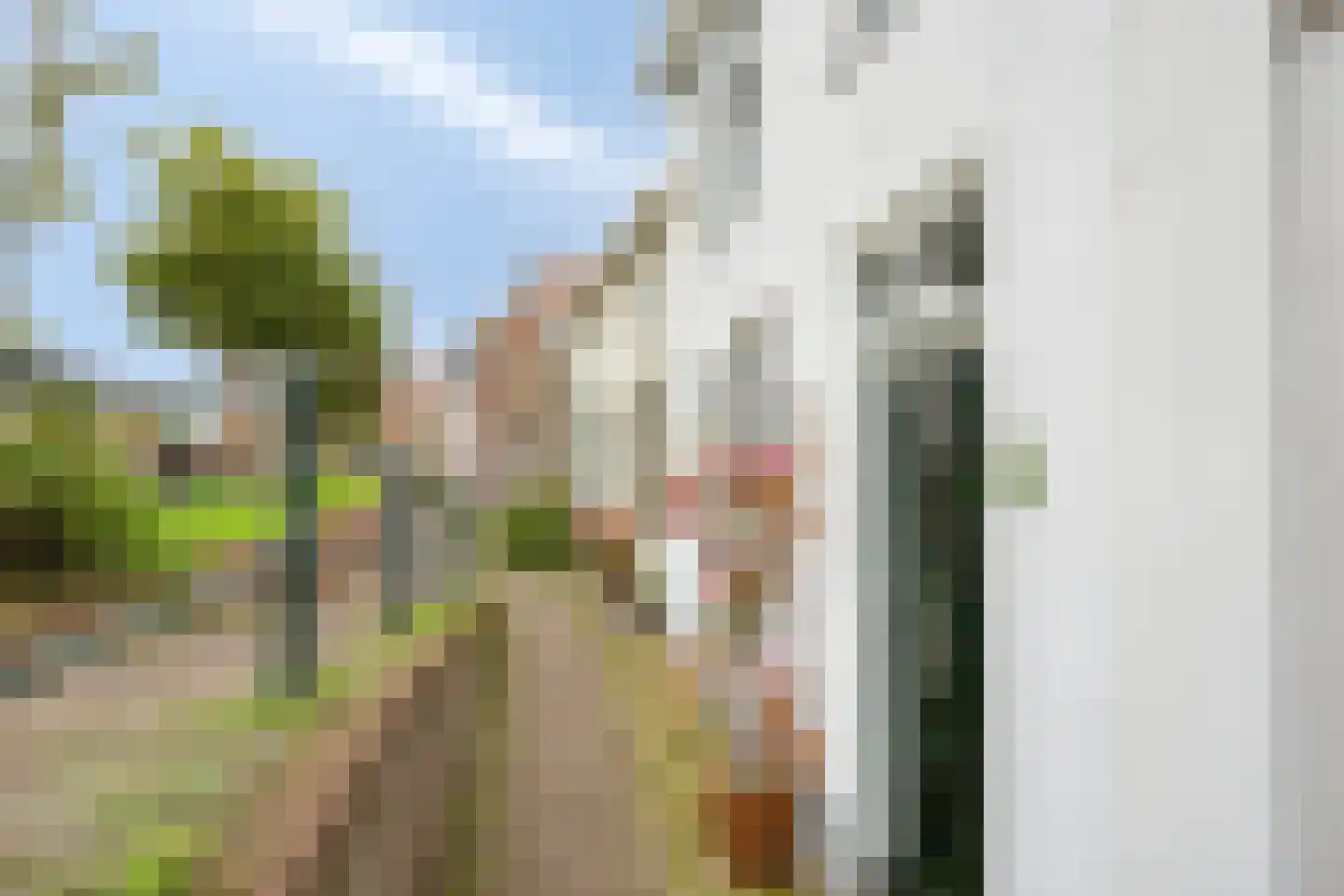 Vlaardingsekade 25 Schipluiden thumbnail 61