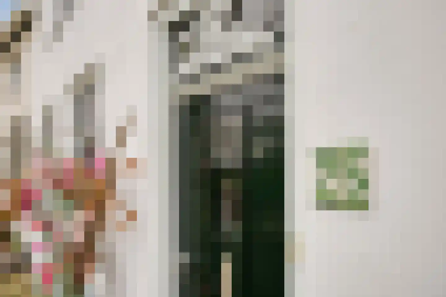 Vlaardingsekade 25 Schipluiden thumbnail 8