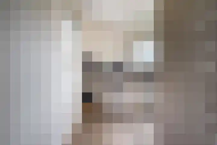 Vlaardingsekade 61 Schipluiden thumbnail 17