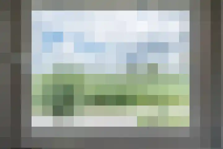 Vlaardingsekade 61 Schipluiden thumbnail 19