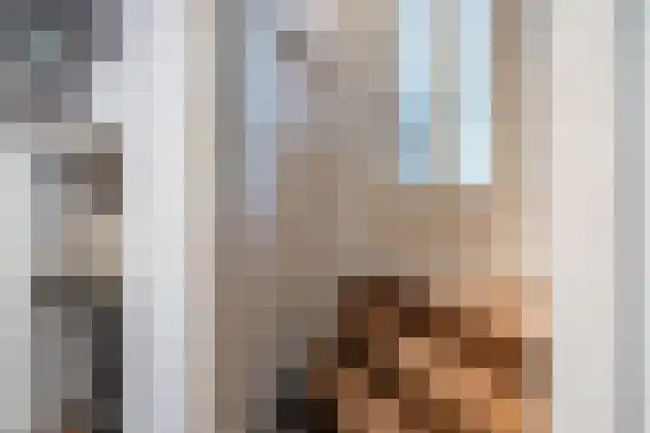 Vlaardingsekade 61 Schipluiden thumbnail 25