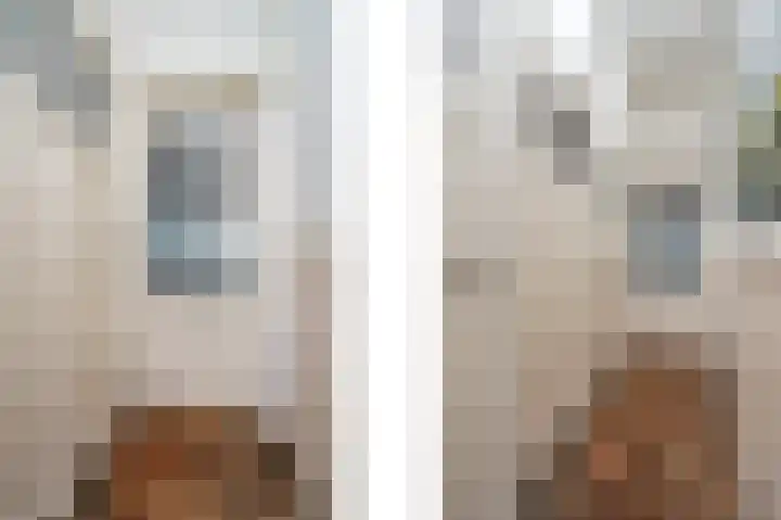 Vlaardingsekade 61 Schipluiden thumbnail 33