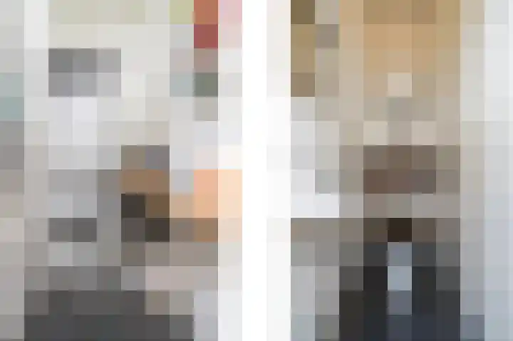 Vlaardingsekade 61 Schipluiden thumbnail 34