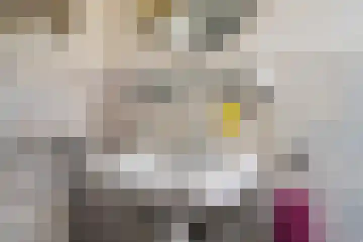 Vlaardingsekade 61 Schipluiden thumbnail 36
