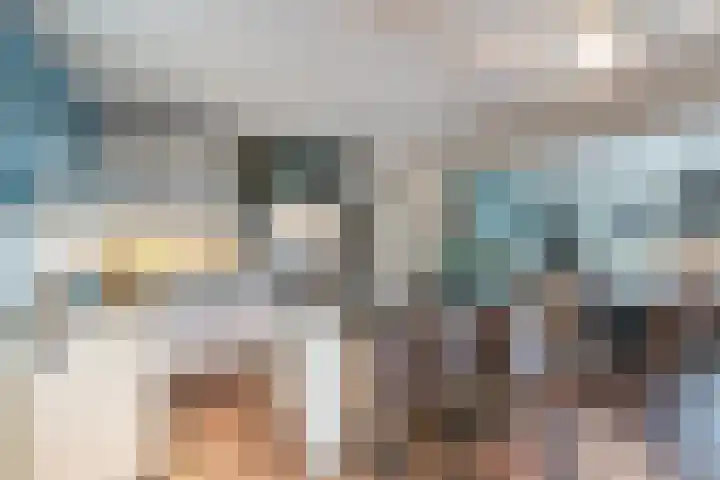 Vlaardingsekade 61 Schipluiden thumbnail 4