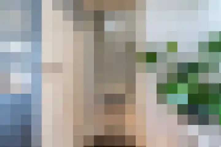 Vlaardingsekade 61 Schipluiden thumbnail 40
