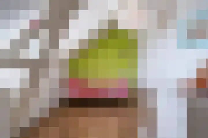 Vlaardingsekade 61 Schipluiden thumbnail 42