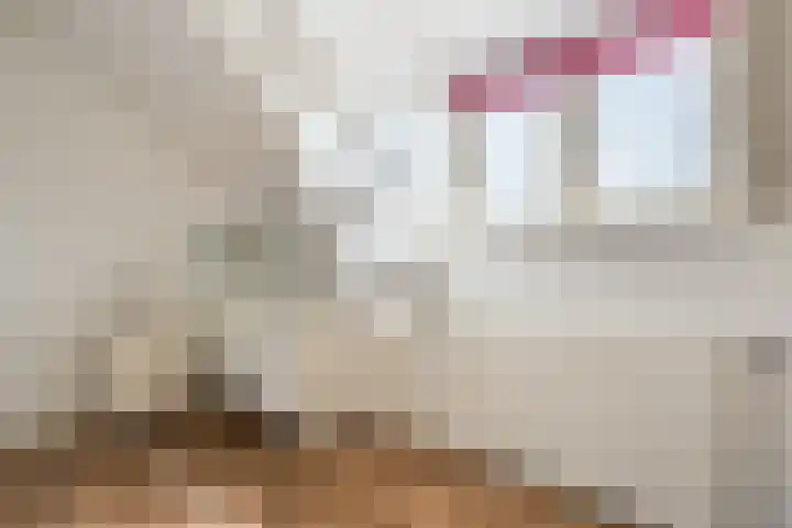 Vlaardingsekade 61 Schipluiden thumbnail 43