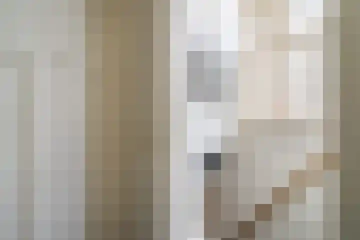 Vlaardingsekade 61 Schipluiden thumbnail 44