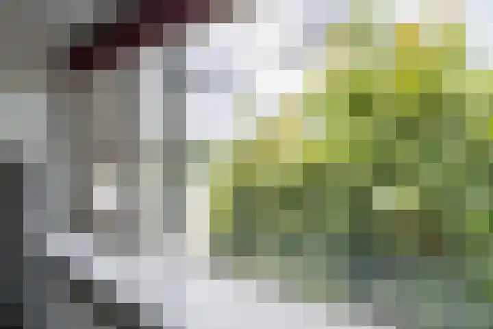 Vlaardingsekade 61 Schipluiden thumbnail 47