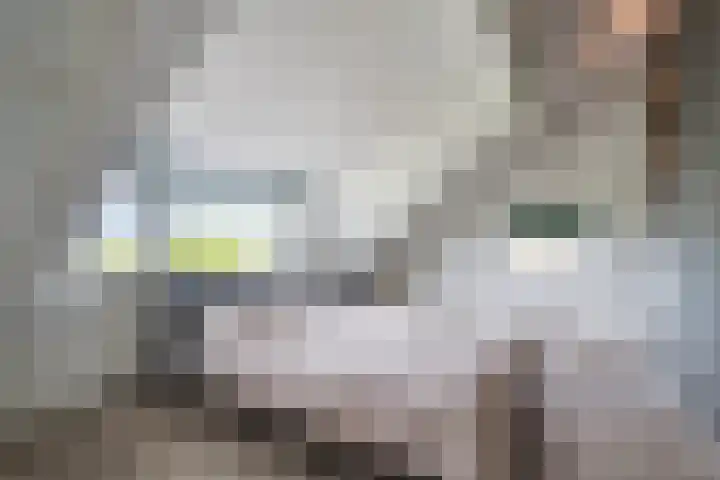 Vlaardingsekade 61 Schipluiden thumbnail 49