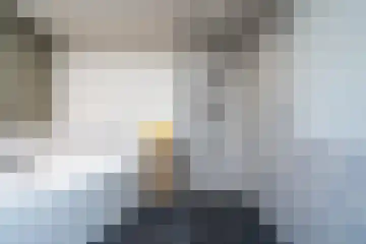 Vlaardingsekade 61 Schipluiden thumbnail 5