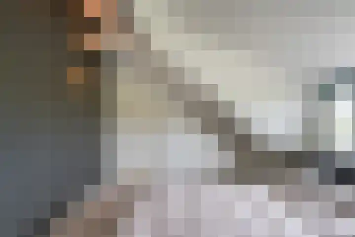 Vlaardingsekade 61 Schipluiden thumbnail 51