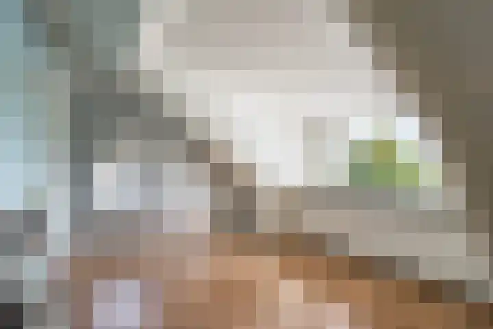 Vlaardingsekade 61 Schipluiden thumbnail 52