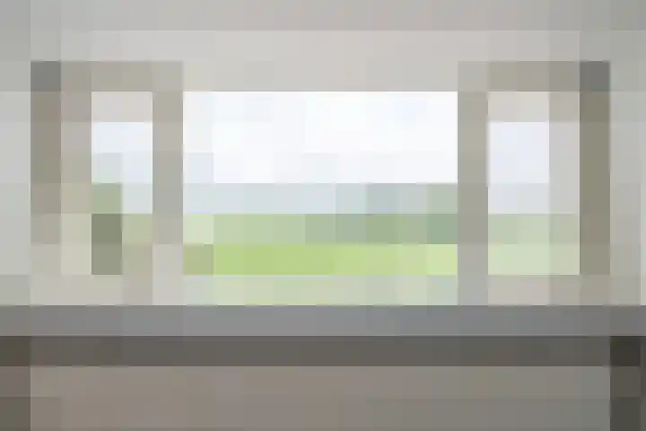 Vlaardingsekade 61 Schipluiden thumbnail 55