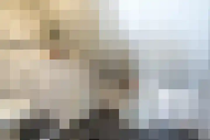 Vlaardingsekade 61 Schipluiden thumbnail 56