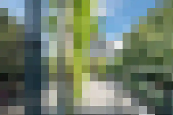Vlaardingsekade 61 Schipluiden thumbnail 59