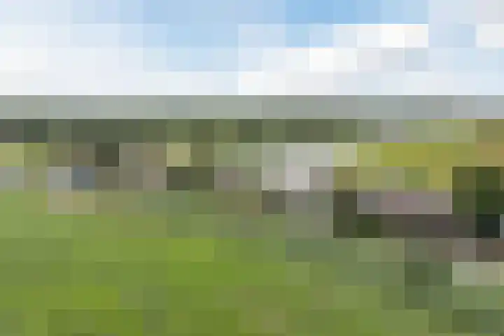 Vlaardingsekade 61 Schipluiden thumbnail 6