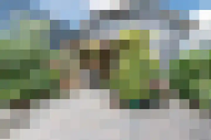 Vlaardingsekade 61 Schipluiden thumbnail 60