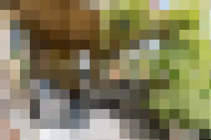 Vlaardingsekade 61 Schipluiden thumbnail 61