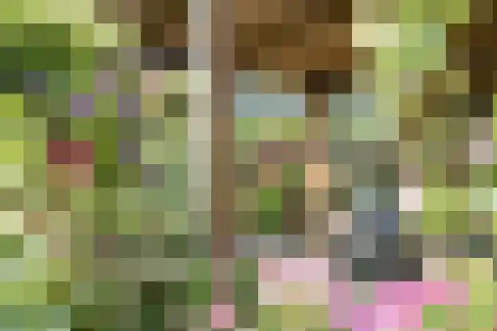 Vlaardingsekade 61 Schipluiden thumbnail 62