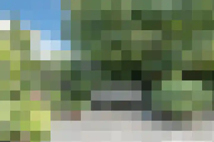 Vlaardingsekade 61 Schipluiden thumbnail 63