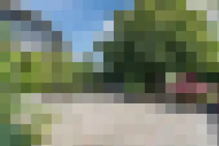 Vlaardingsekade 61 Schipluiden thumbnail 66