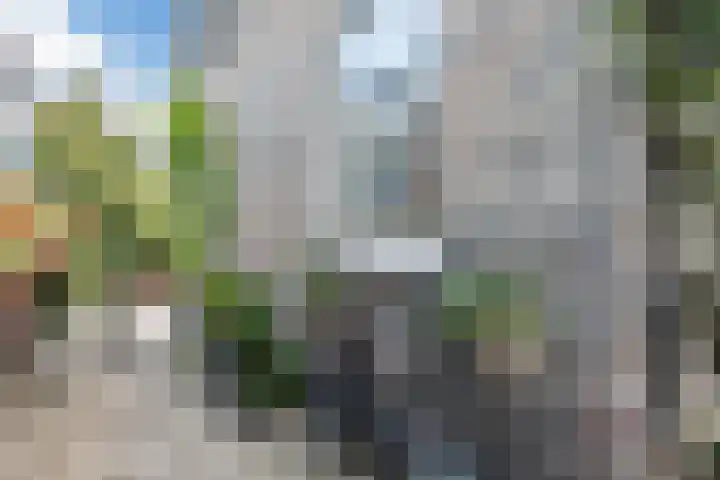 Vlaardingsekade 61 Schipluiden thumbnail 68