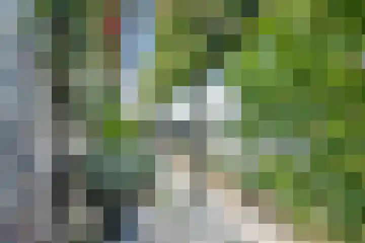 Vlaardingsekade 61 Schipluiden thumbnail 69