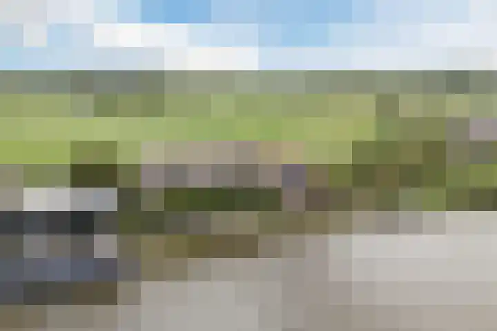 Vlaardingsekade 61 Schipluiden thumbnail 7
